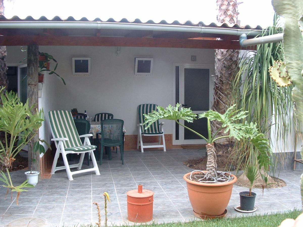 La Gaviota - Flores *